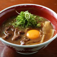 Tokushima Ramen Noodles